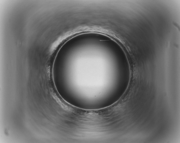X0000100211503200805301314