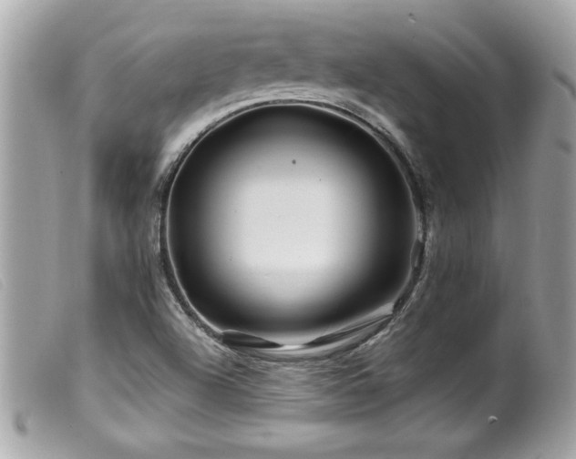X0000100211504200805301314