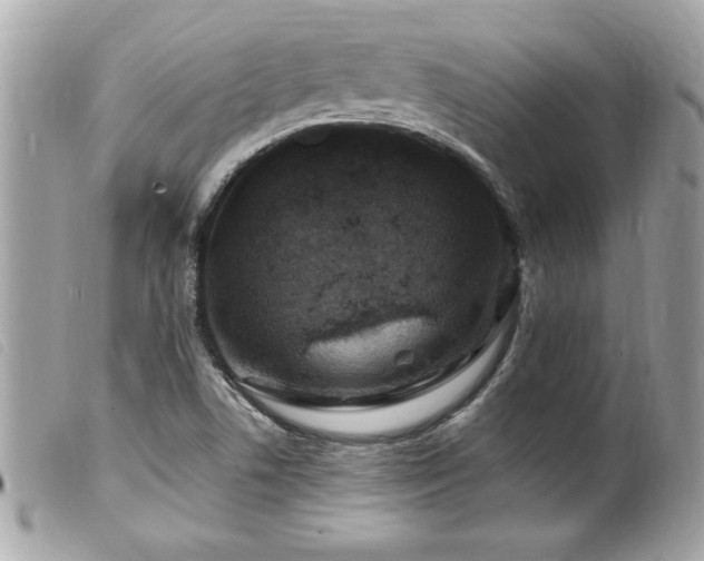 X0000100211506200805301314