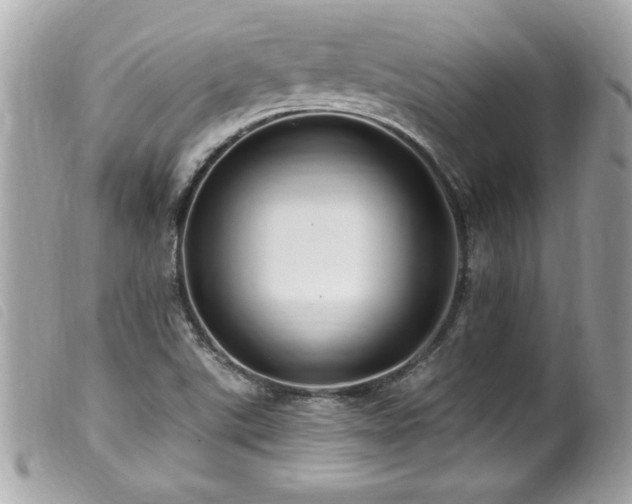 X0000100211507200805301314