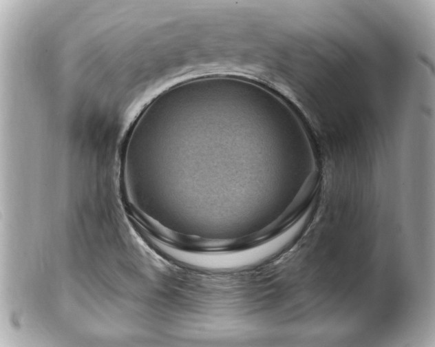X0000100211508200805301314