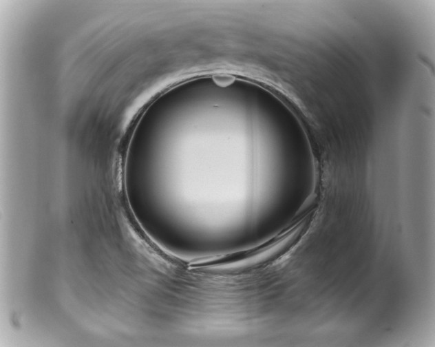 X0000100211510200805301314