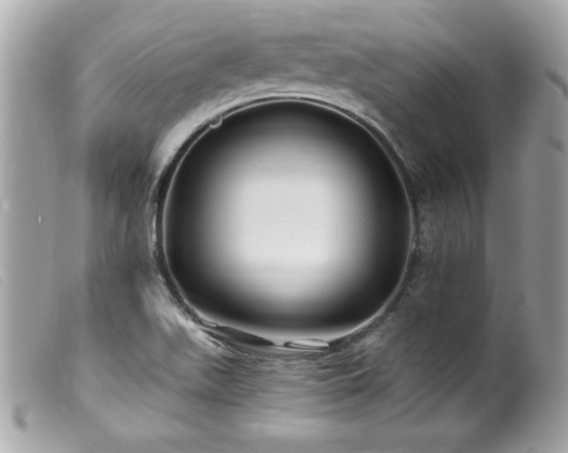 X0000100211511200805301314