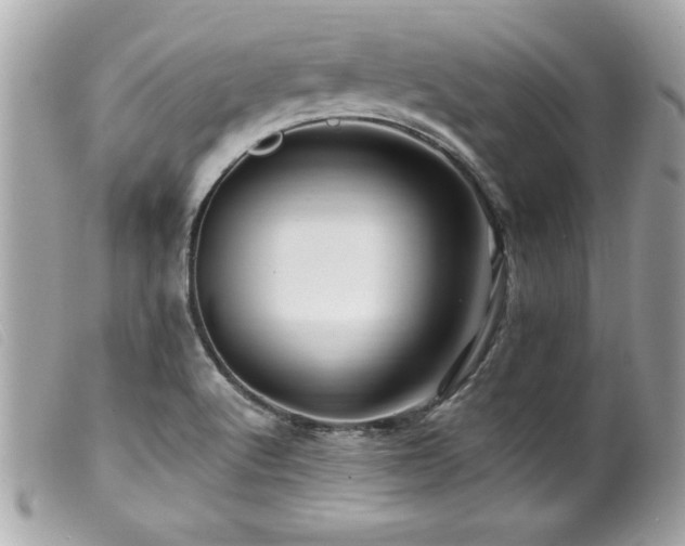 X0000100211512200805301314