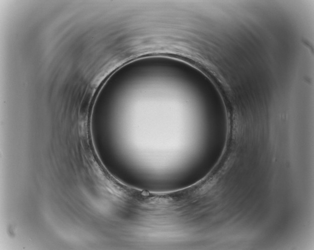 X0000100211513200805301314