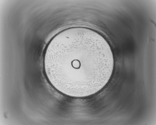 X0000100211514200805301314