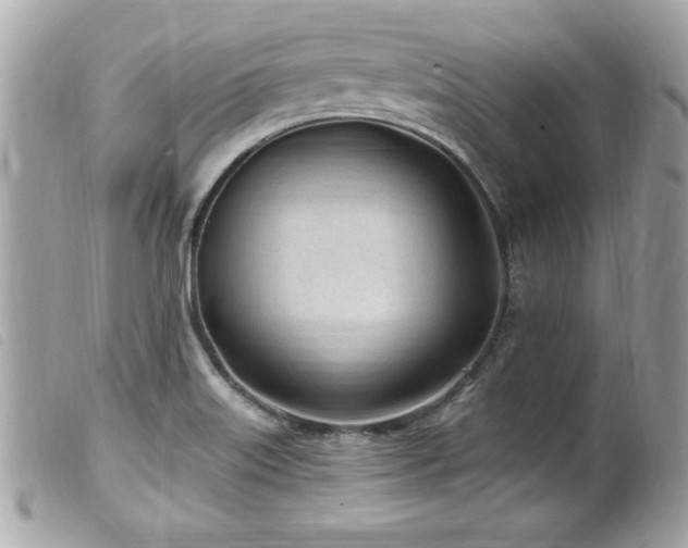 X0000100211515200805301315