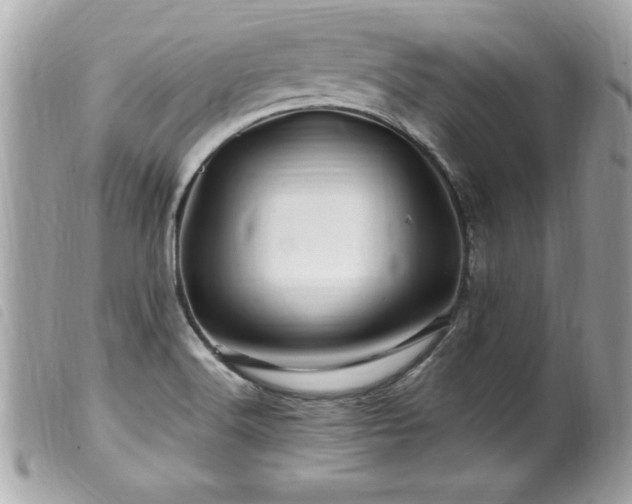 X0000100211516200805301315
