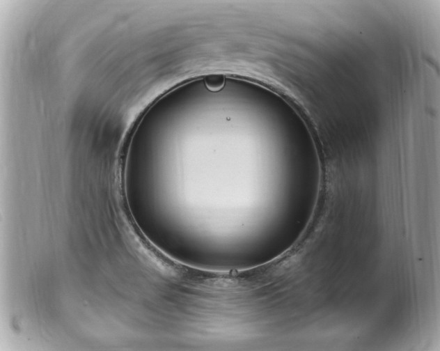 X0000100211517200805301315