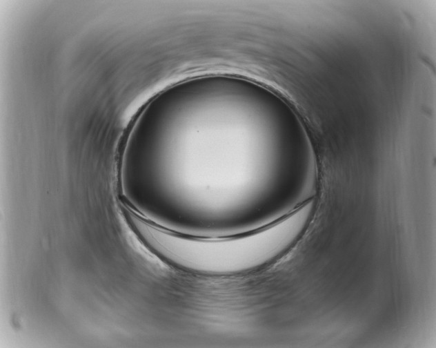 X0000100211518200805301315