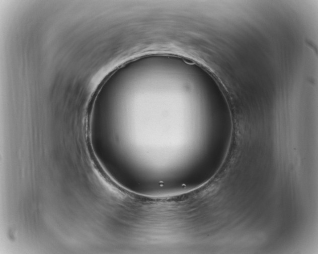 X0000100211519200805301315