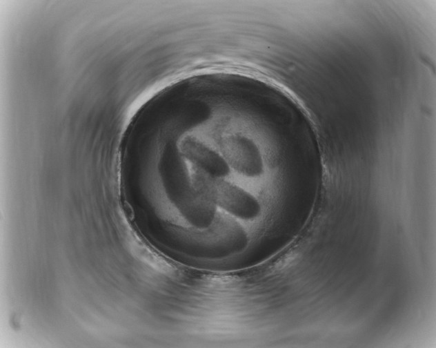 X0000100211522200805301315