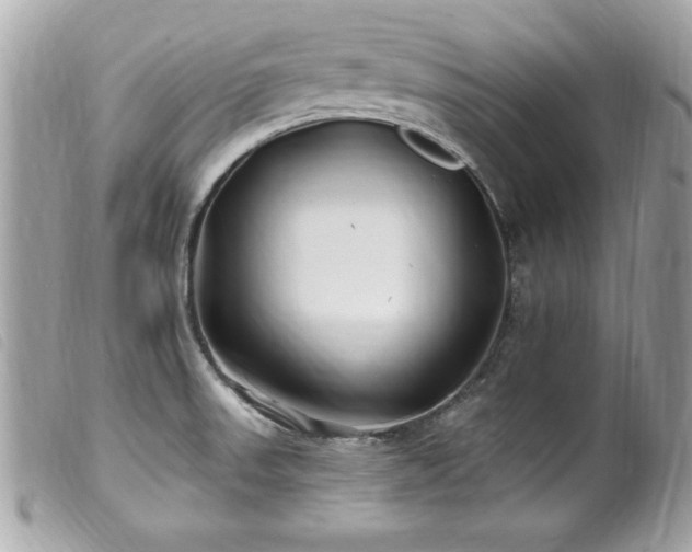 X0000100211523200805301315