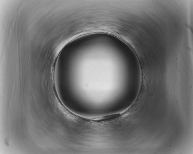 X0000100211524200805301315