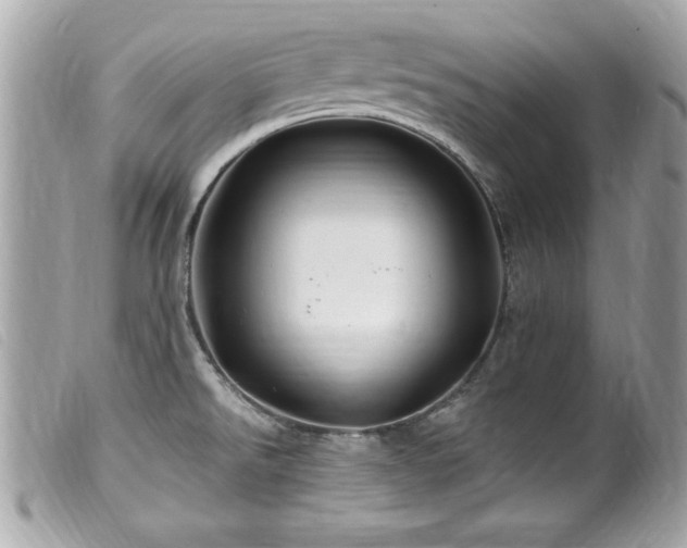 X0000100211526200805301315
