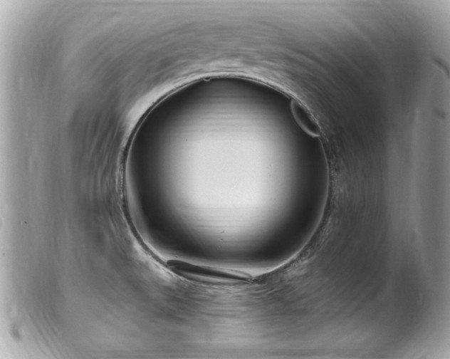 X0000100211527200805301315