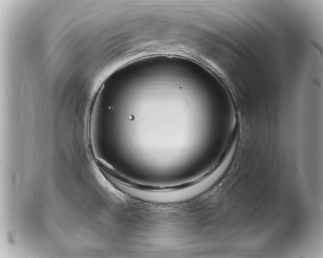 X0000100211528200805301315