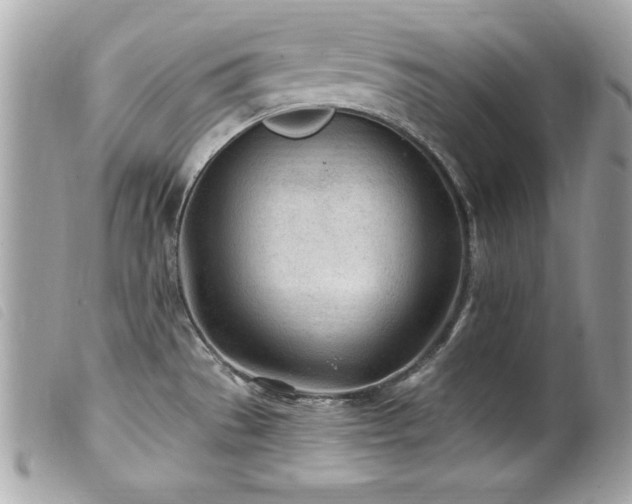 X0000100211529200805301315