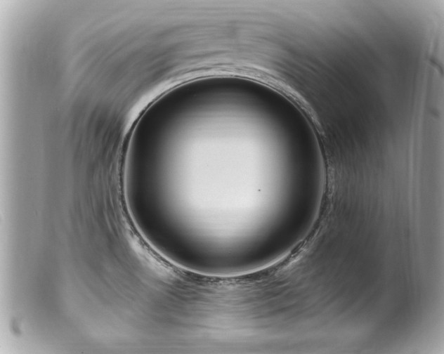 X0000100211530200805301315