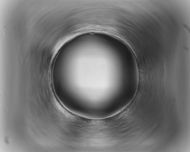 X0000100211531200805301315