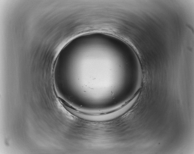 X0000100211532200805301315