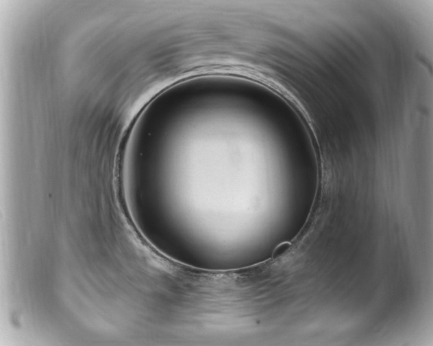 X0000100211533200805301315