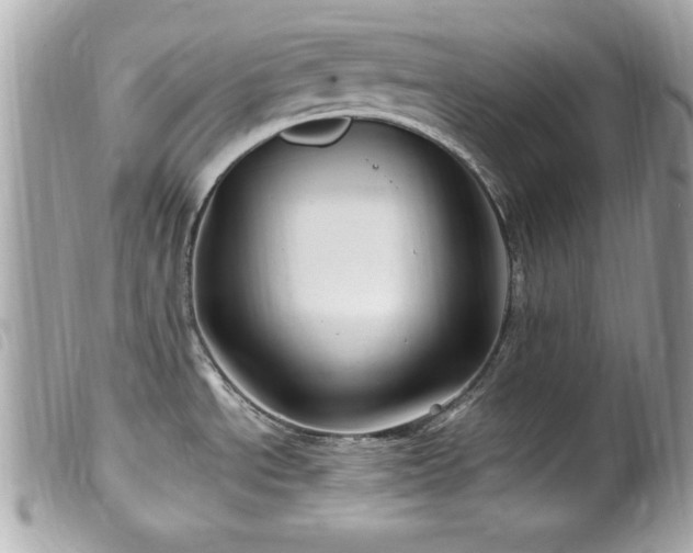 X0000100211534200805301315