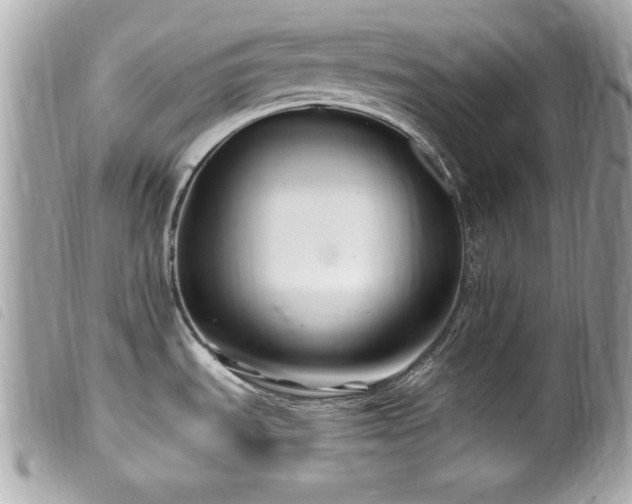 X0000100211535200805301315