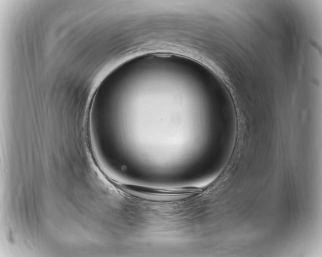 X0000100211536200805301315