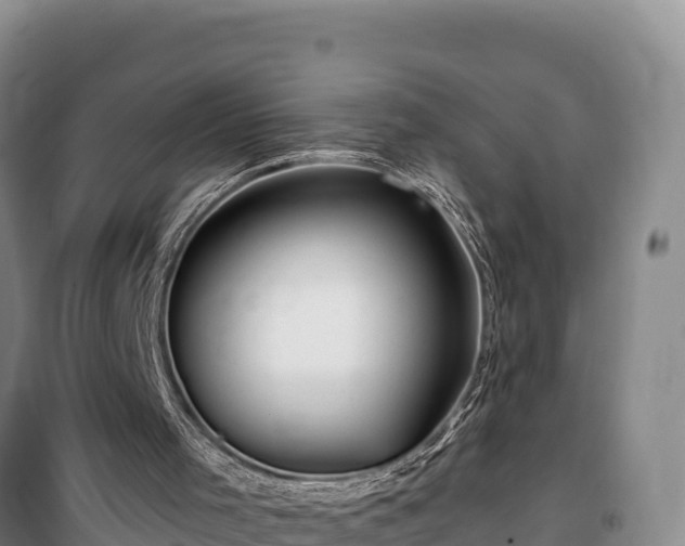 X0000100210001200806061356