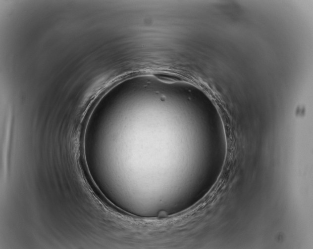 X0000100210002200806061356