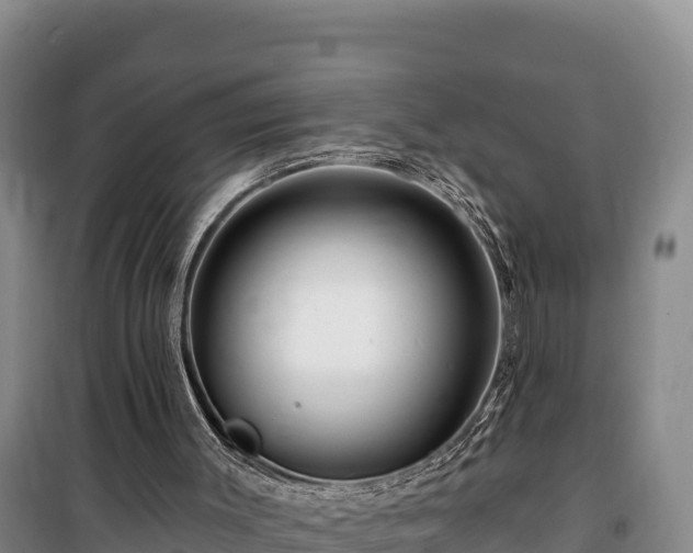 X0000100210003200806061356