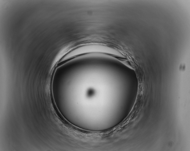 X0000100210004200806061356