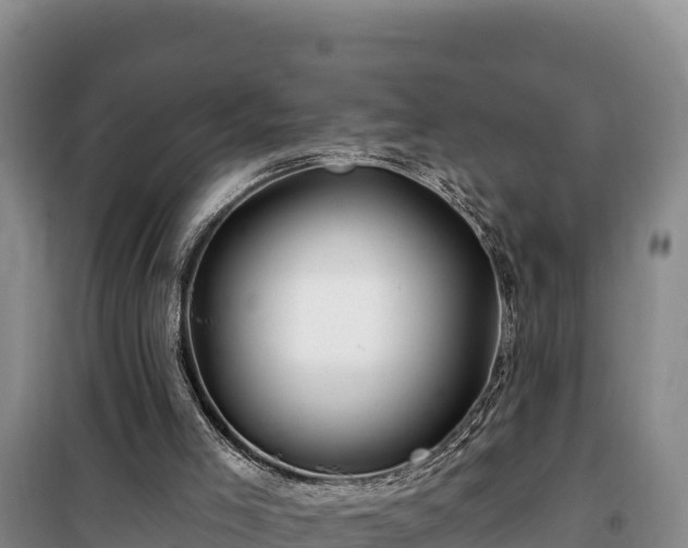 X0000100210005200806061356