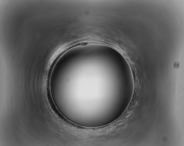 X0000100210007200806061356