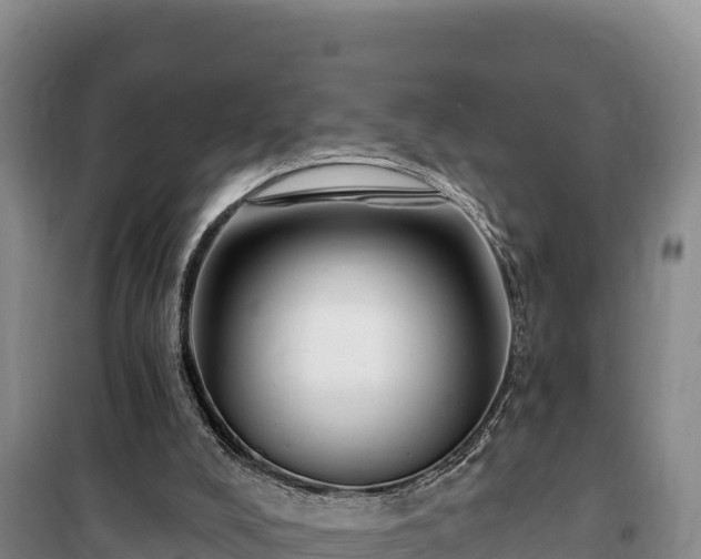 X0000100210008200806061356