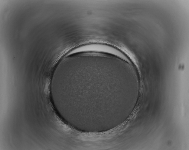 X0000100210009200806061356