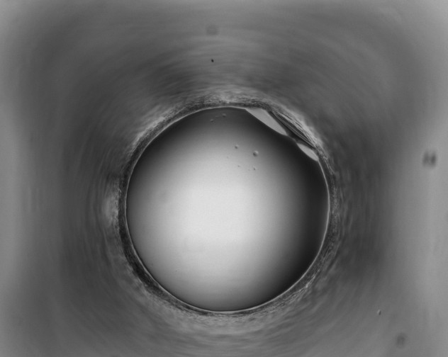 X0000100210010200806061356