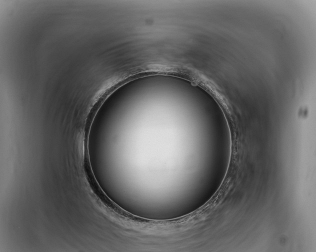 X0000100210011200806061356