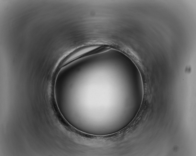 X0000100210012200806061356