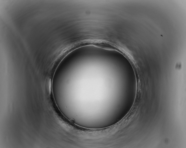 X0000100210013200806061356