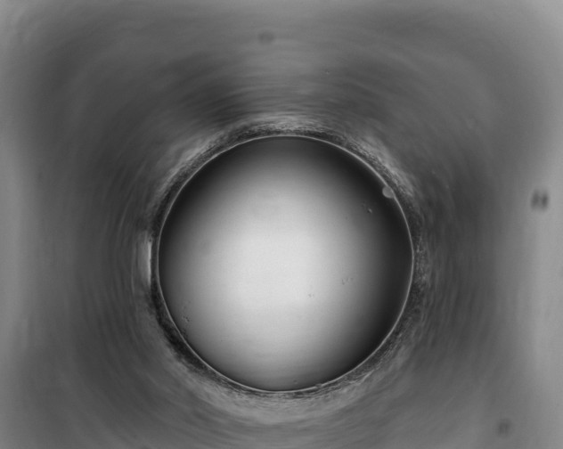 X0000100210014200806061356