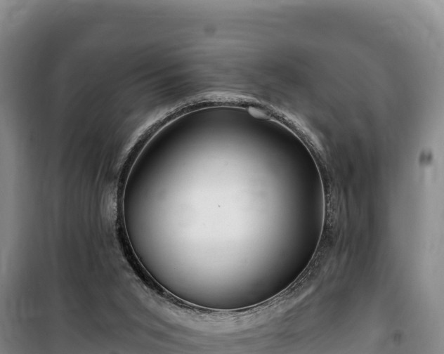 X0000100210015200806061356