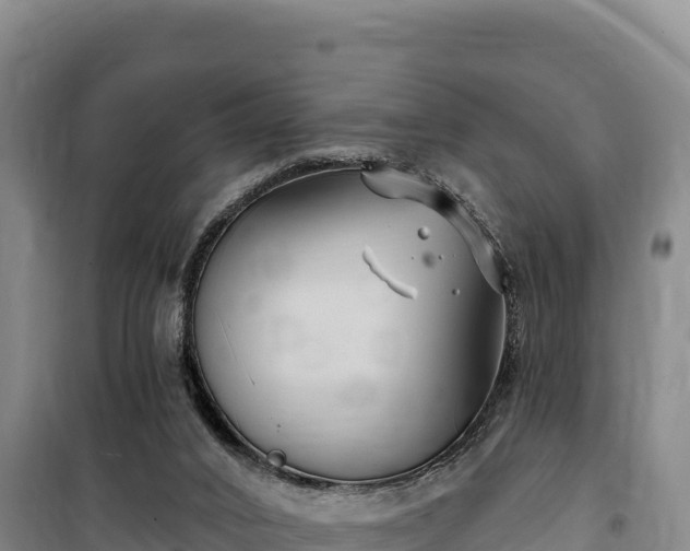 X0000100210016200806061356