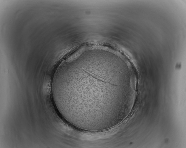 X0000100210017200806061356