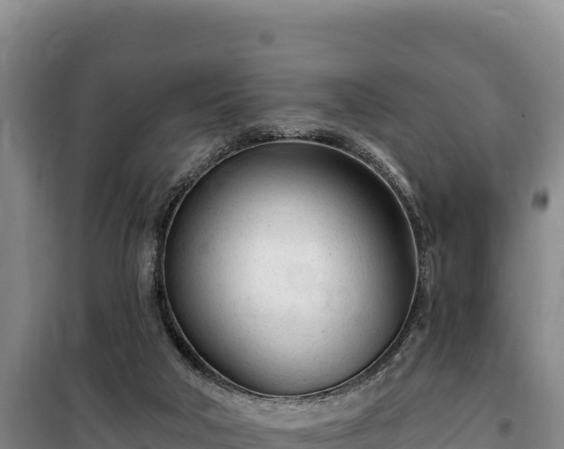 X0000100210018200806061356