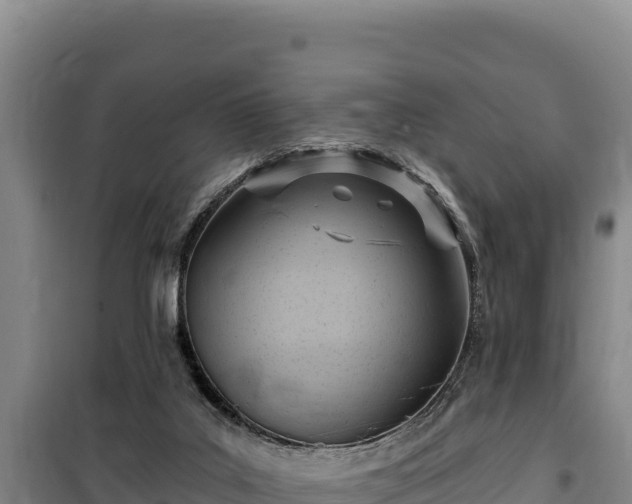 X0000100210019200806061356