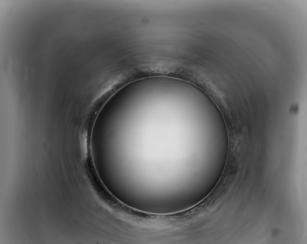 X0000100210020200806061356