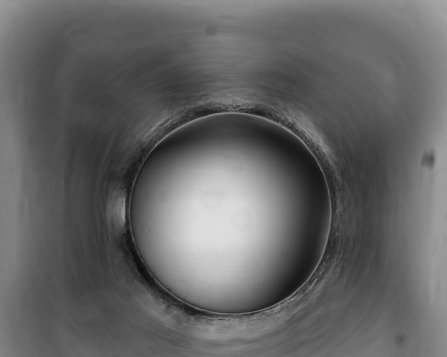 X0000100210021200806061356