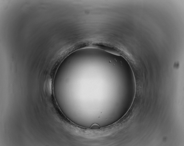 X0000100210022200806061356